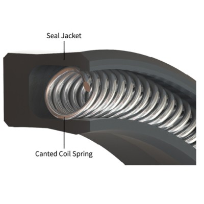 CANTED COIL SPRING ENERGIZED ROD SEAL