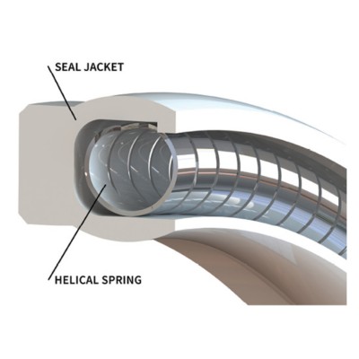 HELICAL SPRING ENERGIZED ROD SEAL